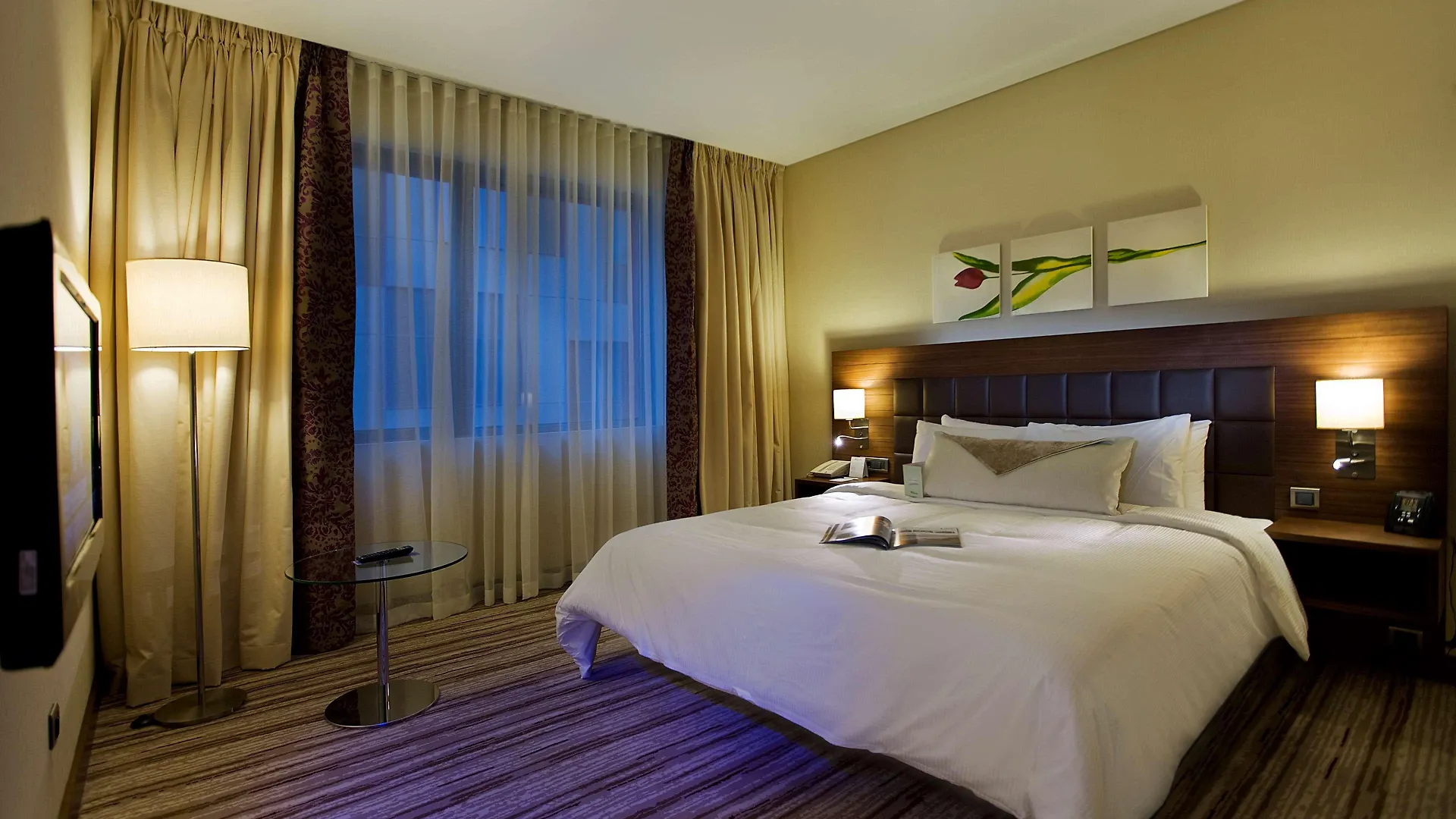Hotel Hilton Garden Inn Kutahya